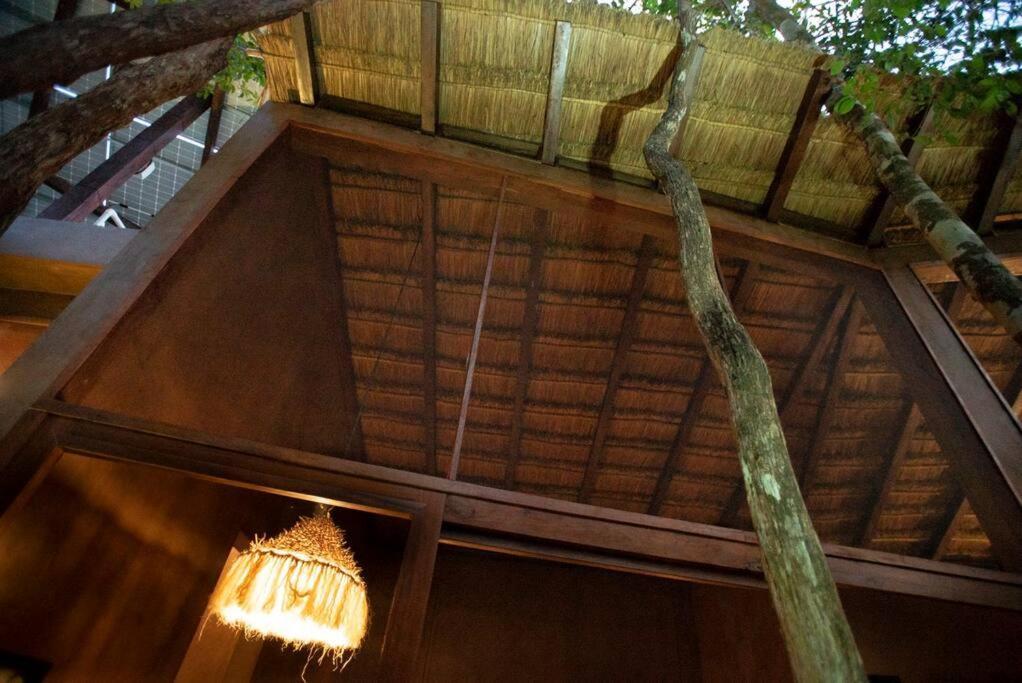 Сasa de vacaciones Ojo De Agua. Design+pool. Vive La Autentica Selva! Tulum