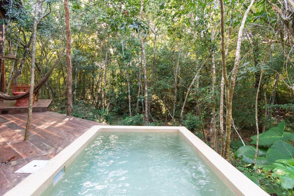 Ojo De Agua. Design+pool. Vive La Autentica Selva! Сasa de vacaciones *