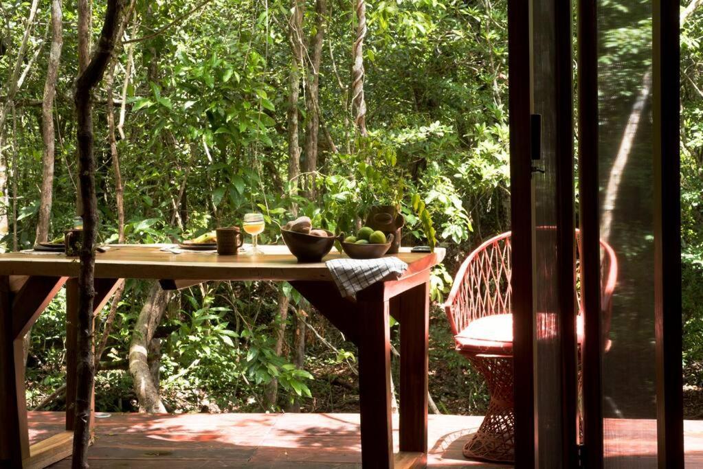 Ojo De Agua. Design+pool. Vive La Autentica Selva! Сasa de vacaciones
