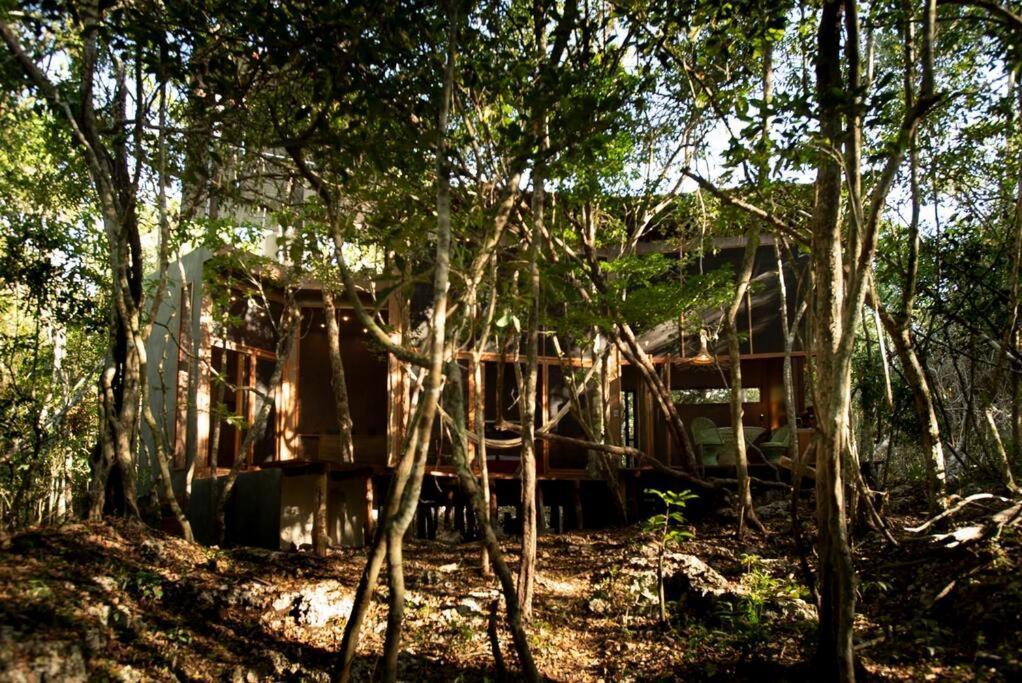 Ojo De Agua. Design+pool. Vive La Autentica Selva! Сasa de vacaciones Tulum