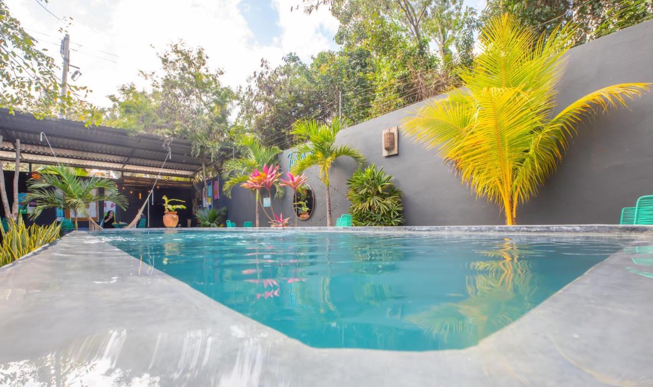 Turquoise (adults Only) 3*