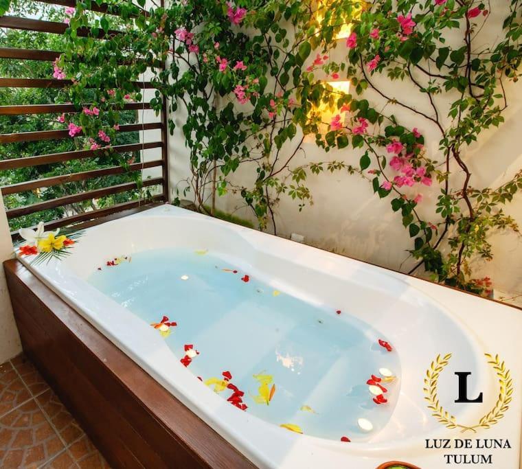 Villa Luz De Luna *