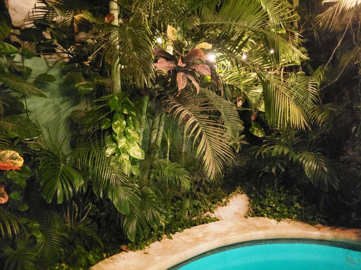The Secret Garden Apartamento Tulum