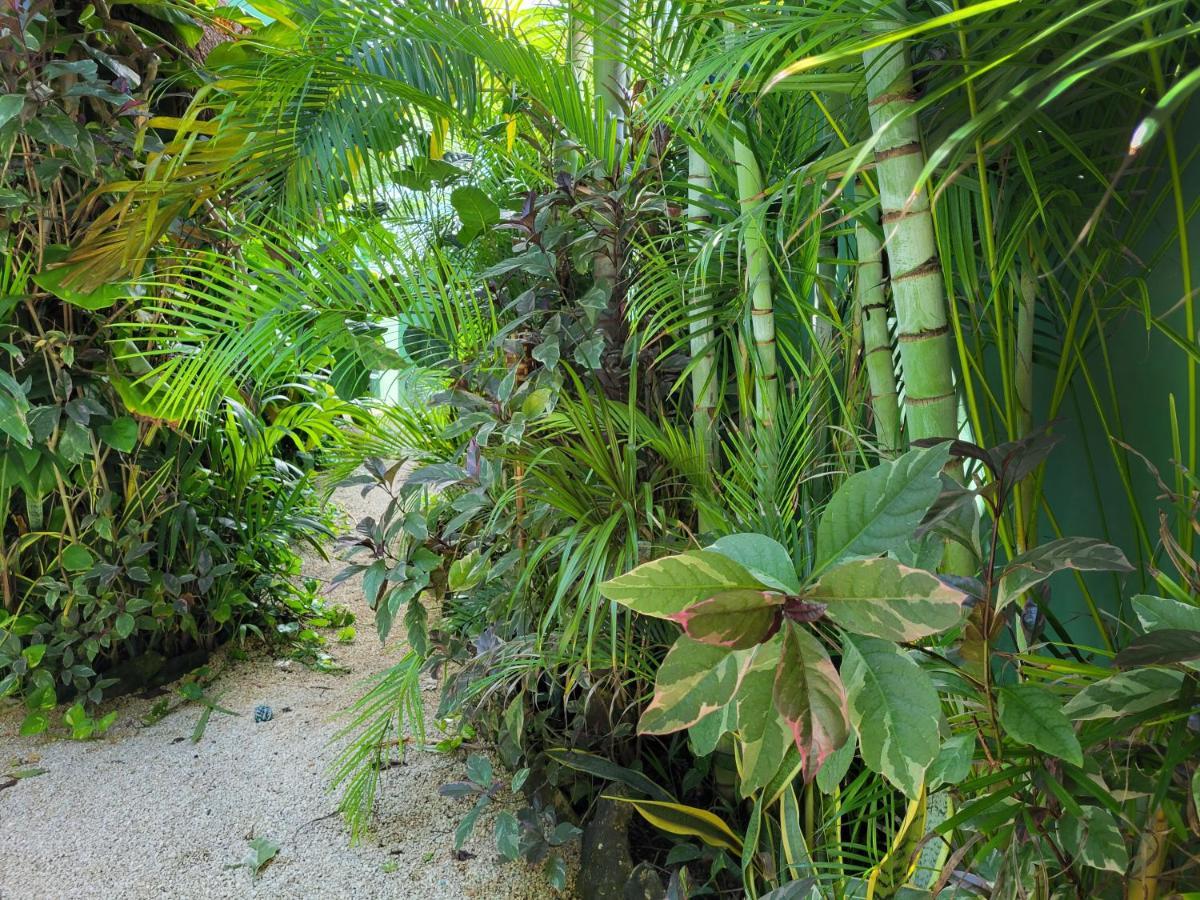 The Secret Garden Apartamento Tulum