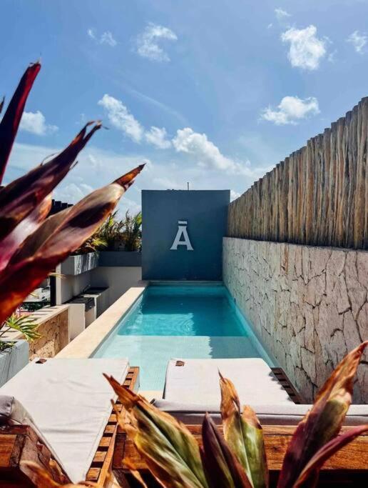 Luxury En Centro De Apartamento *