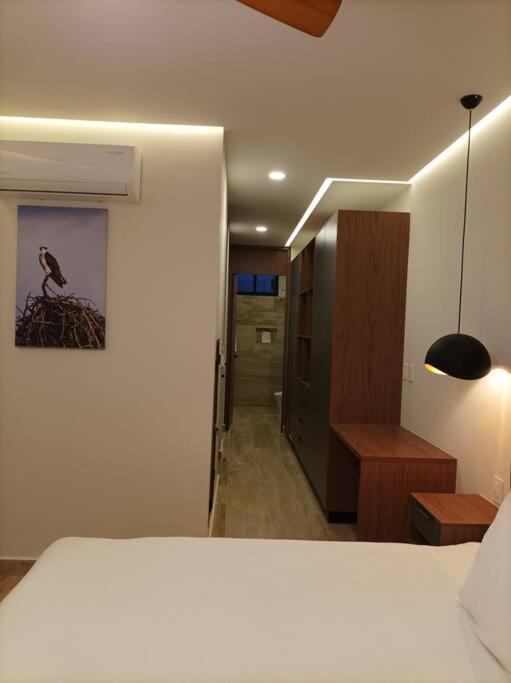Apartamento S/cocina