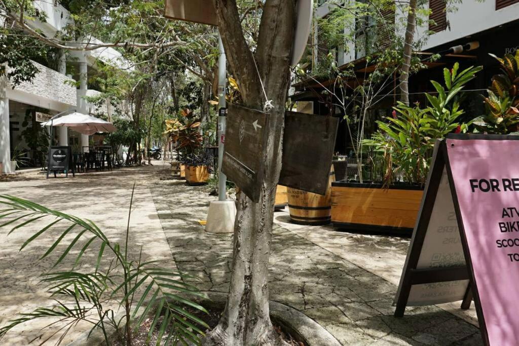 Apartamento S/cocina Tulum