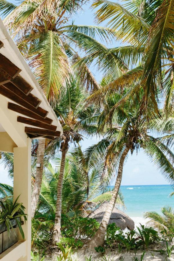 Bed and breakfast Olas