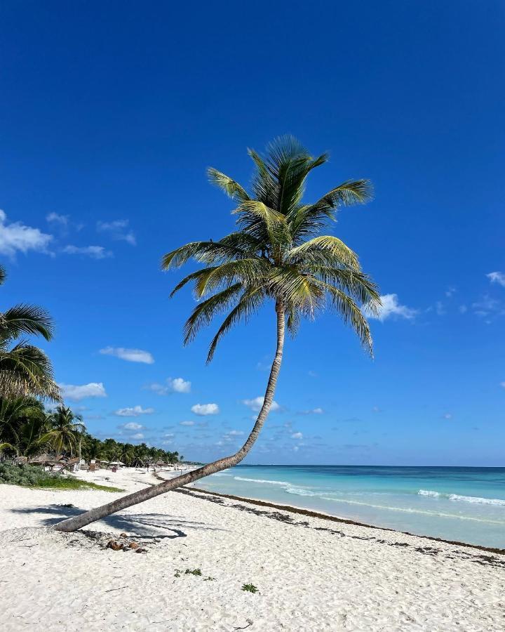 Chavez Eco Camping&cabañas Camping Tulum