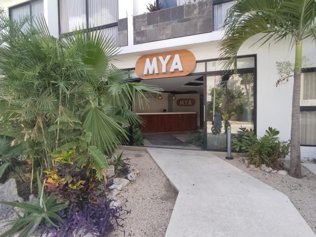 Nuevo Estudio Con Terraza Totalmente Equipado Aldea Zama Apartamento