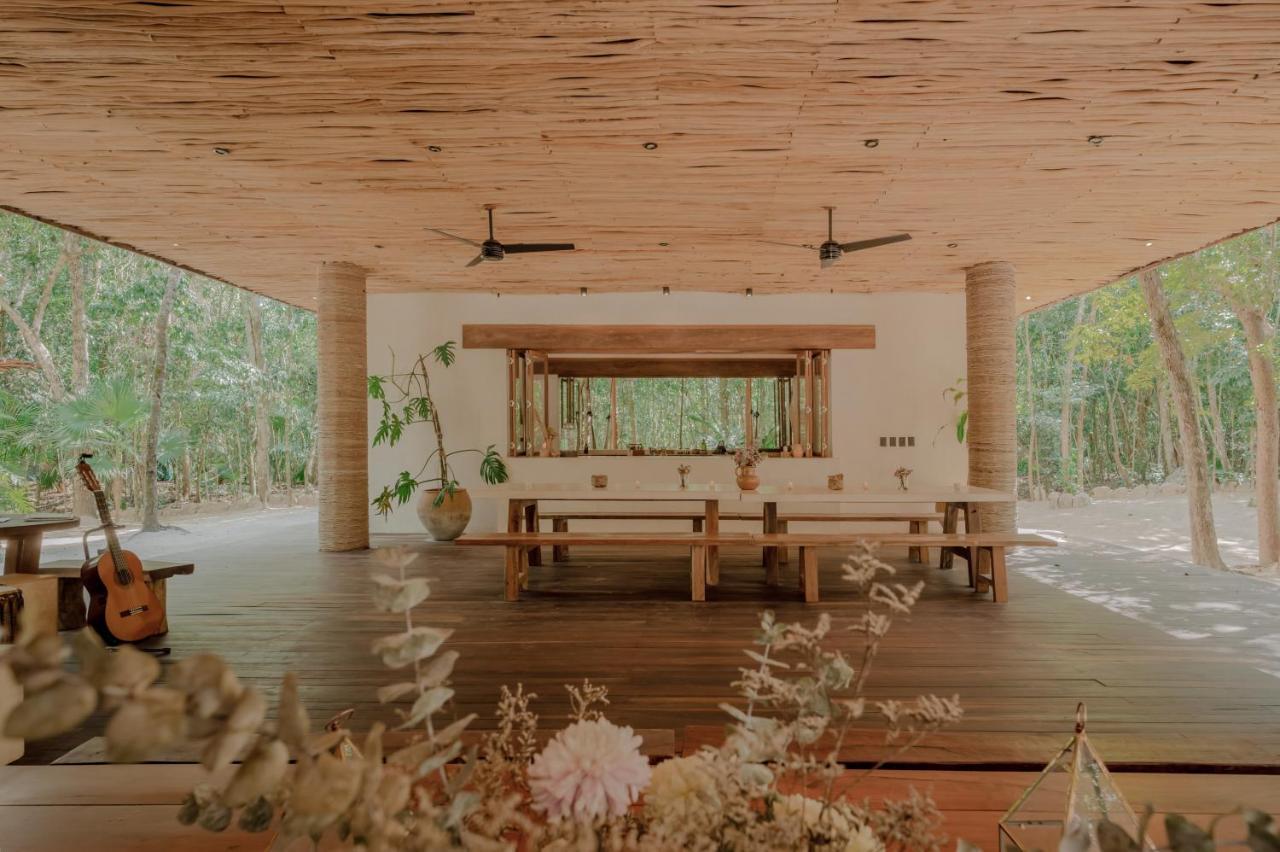 Naum - Secluded With Private Cenote Villa
