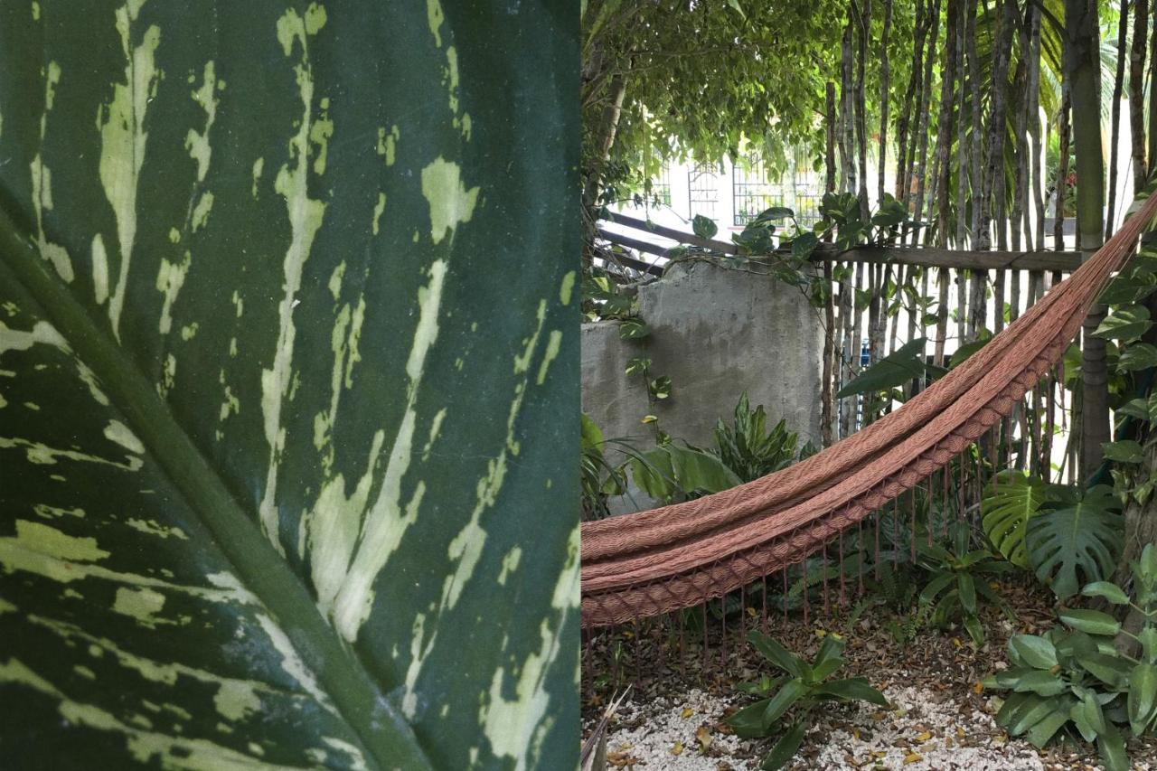 Wabi Sabi Garden By Amara Concepts. *