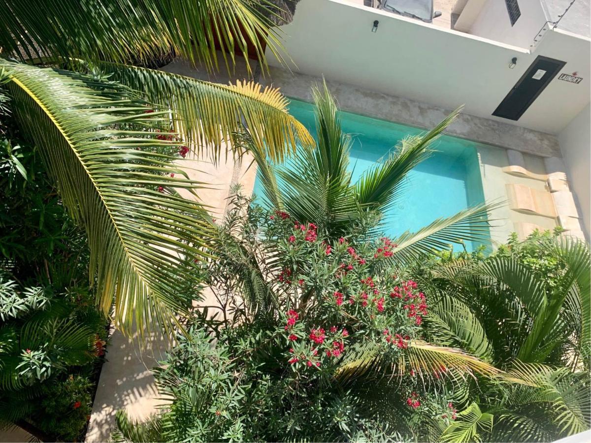 Tua Large And Comfortable With Swimming Pool Apartamento
