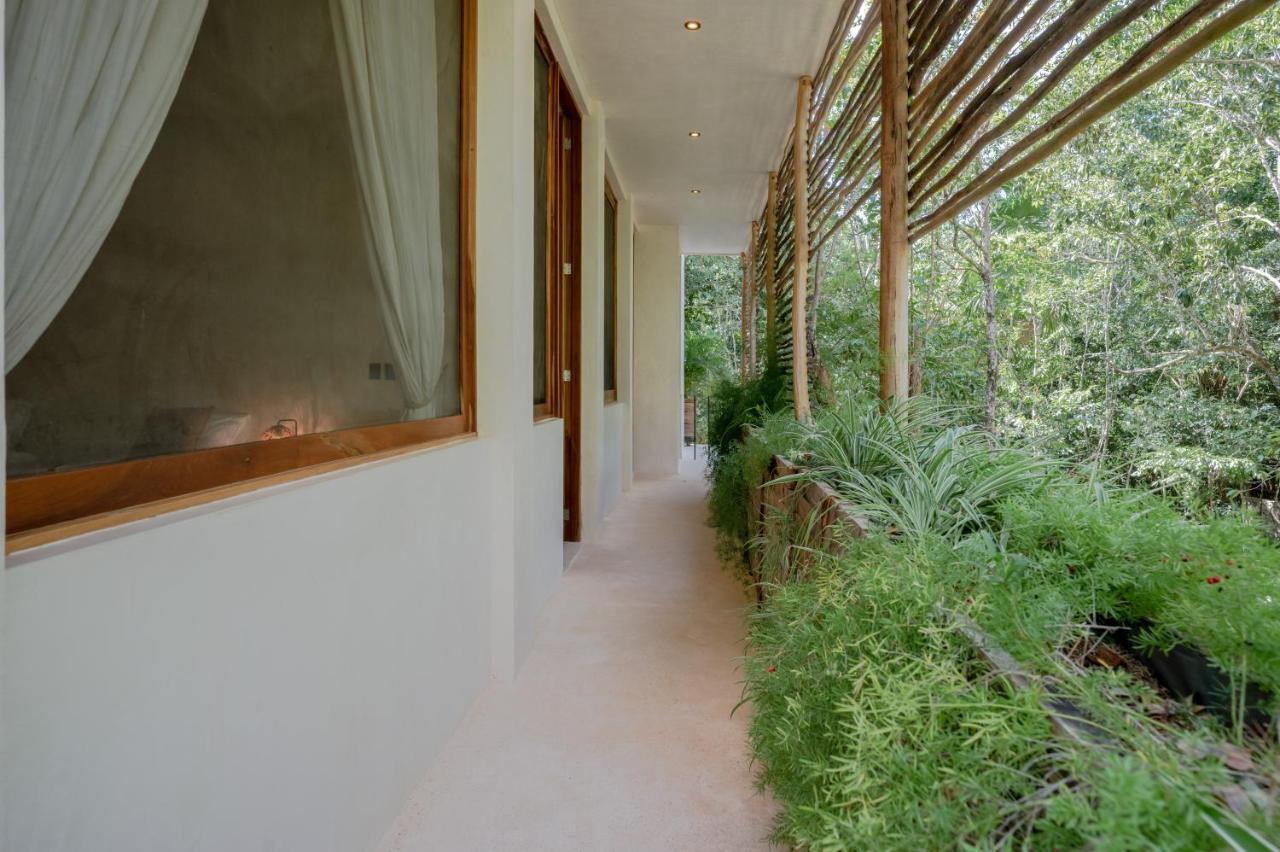 Naum - Secluded With Private Cenote Tulum