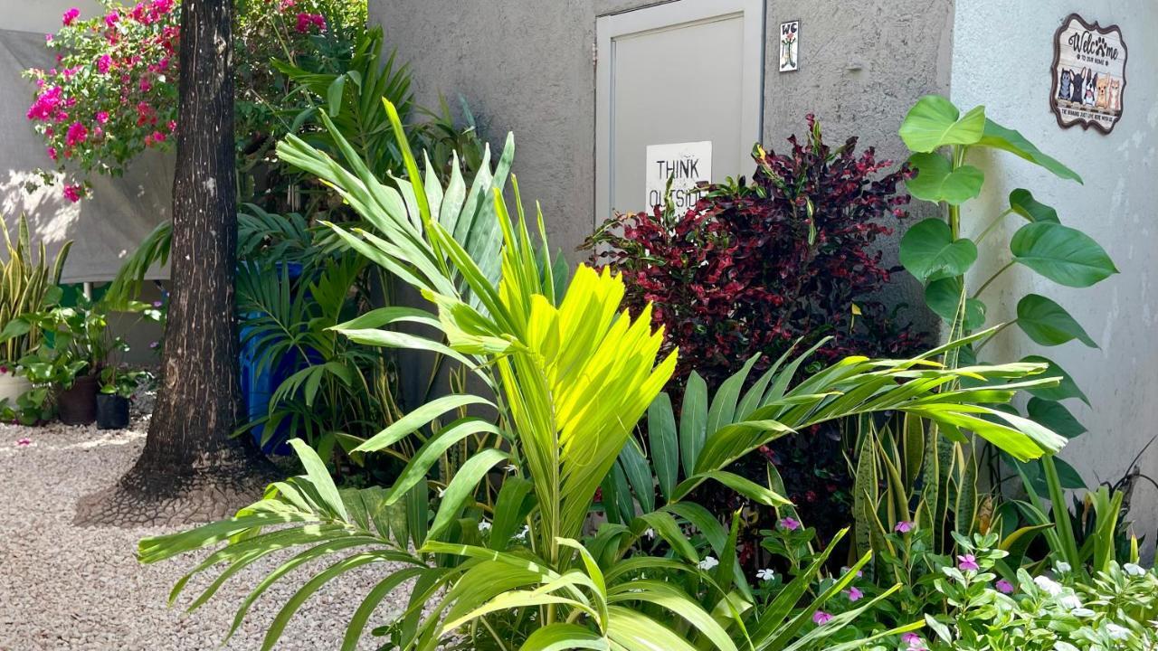 Apartamento Casa Villamatisse Tulum
