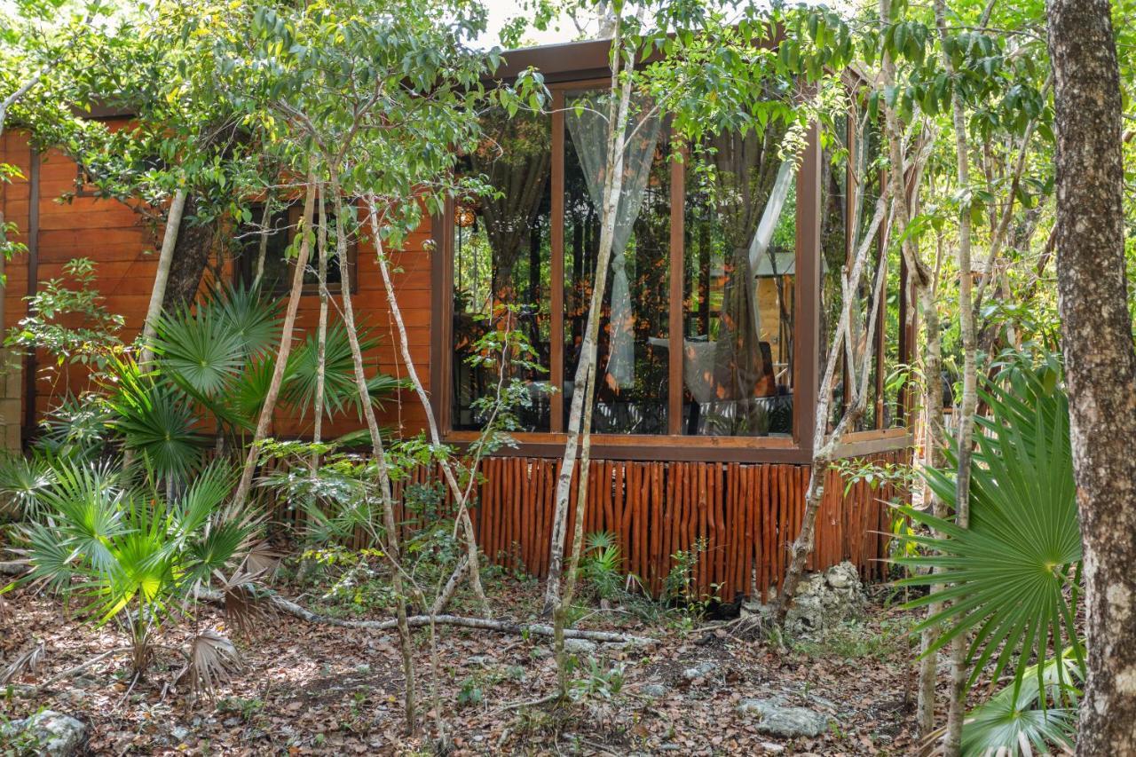 Сasa de vacaciones Jungle With Plunge Pool Tulum