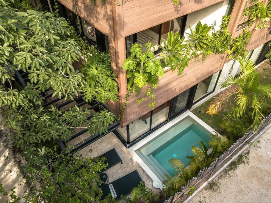 Townhouse De Lujo En La Selva Con Alberca Privada Apartamento