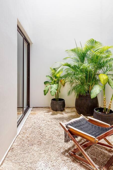 Exclusivo Penthouse Con Alberca Privada Y Roof