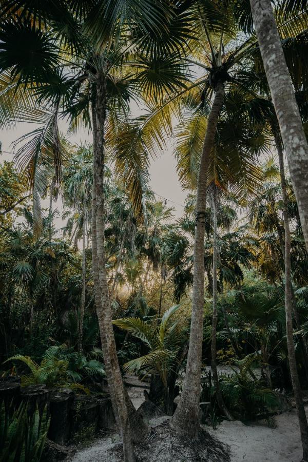 Hotel Ether Tulum