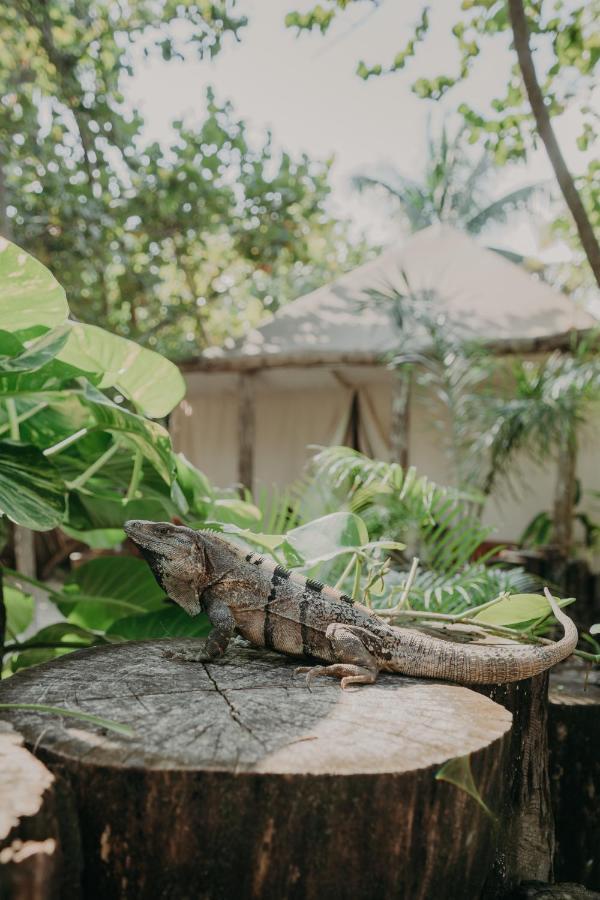 Ether Tulum