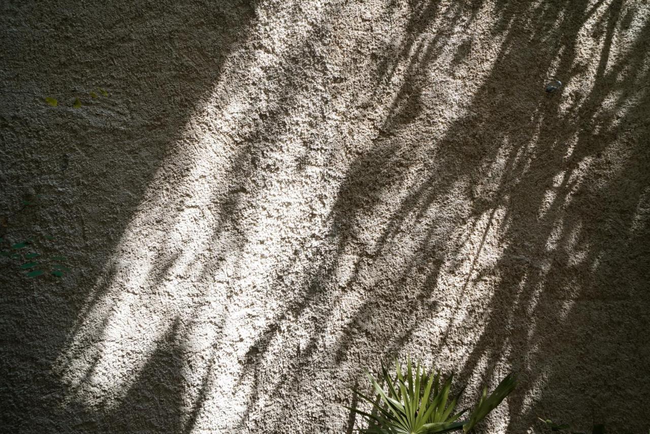 Teva Tulum, Aldea Zama *