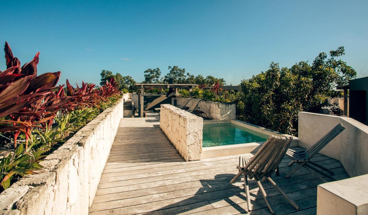 Vida Boho 17 With Special Fee To Access Bardo *