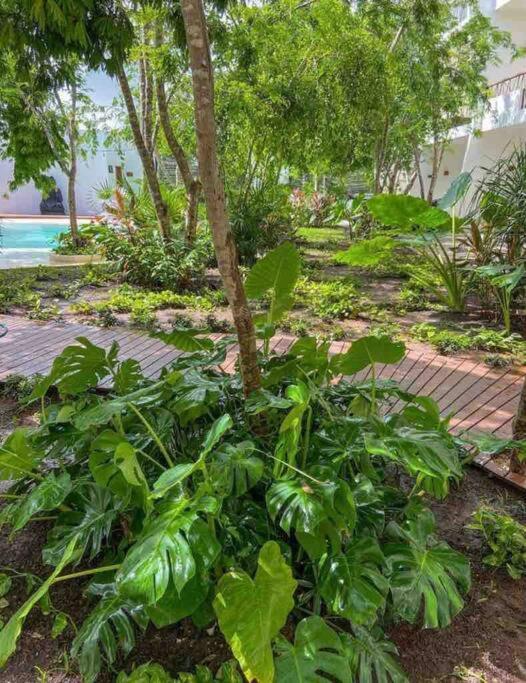 Apartamento Dk32 15 Min To Jungle *pool *gym *