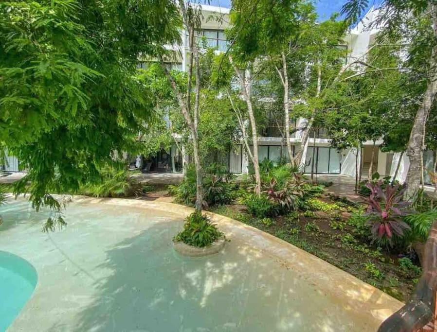 Dk32 15 Min To Jungle *pool *gym Apartamento Tulum