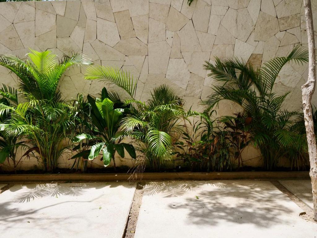 Taanah * Tulum
