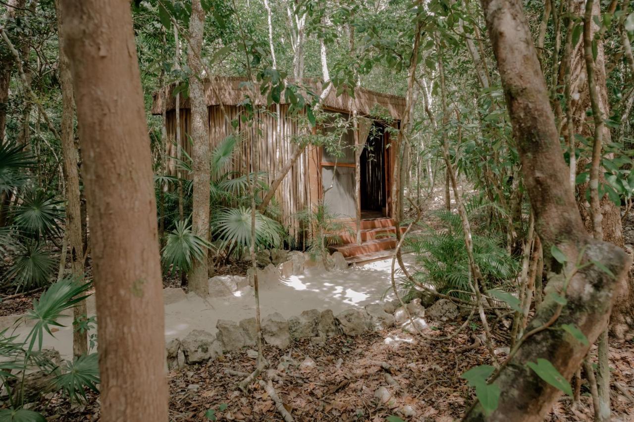 Naum - Secluded With Private Cenote Tulum