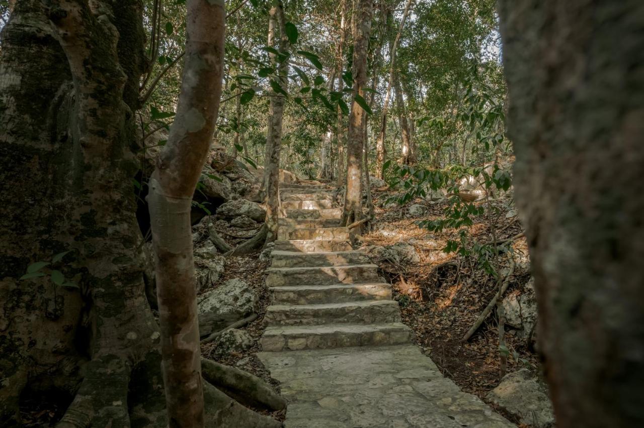 Naum - Secluded With Private Cenote * Tulum
