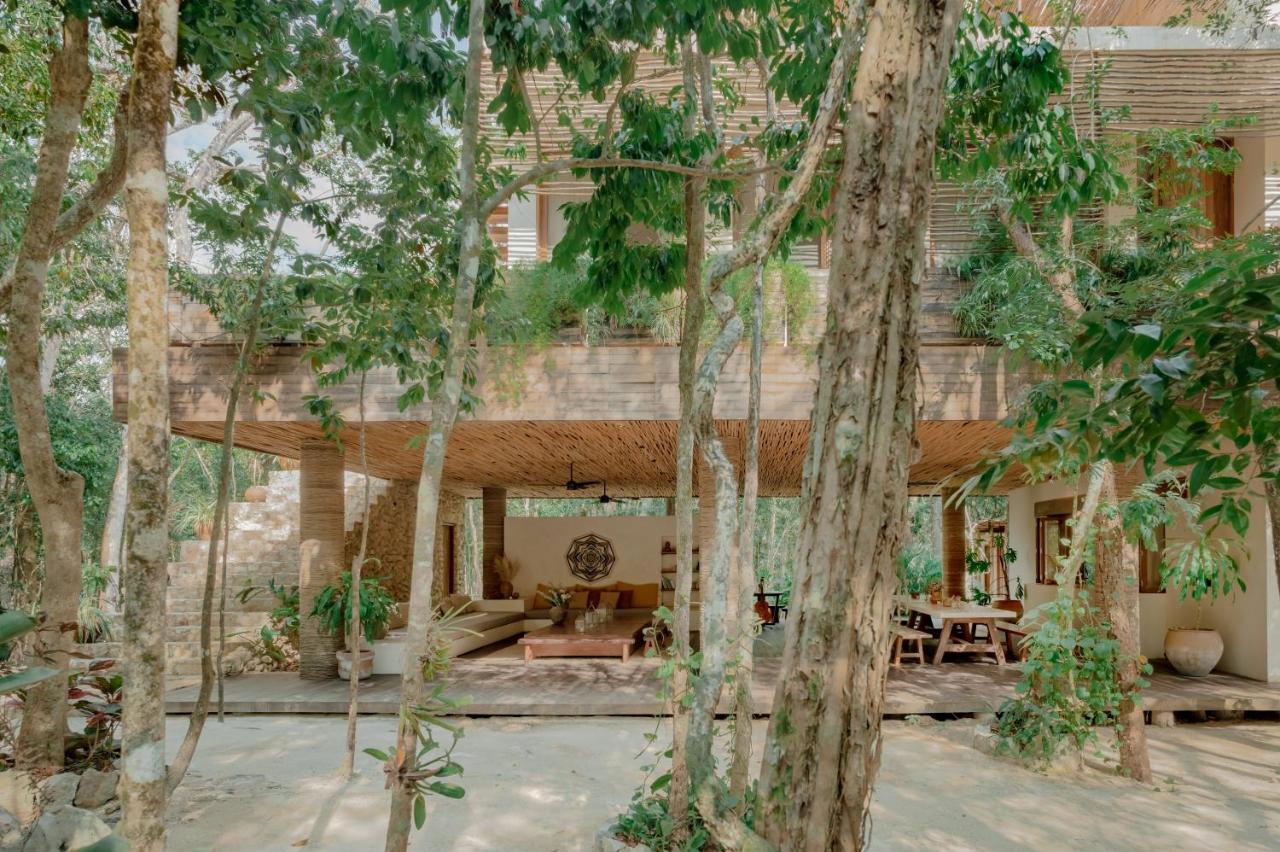 Naum - Secluded With Private Cenote Villa
