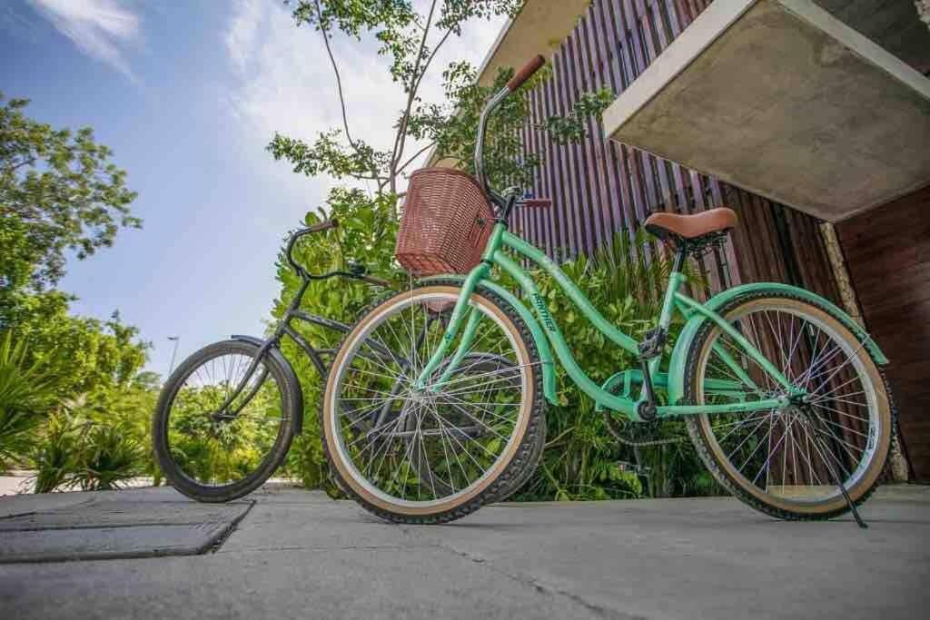 Luxury 2 Bdr 2 Bth 2 Bikes Jacuzzi Fiboptic Wifi. Tulum