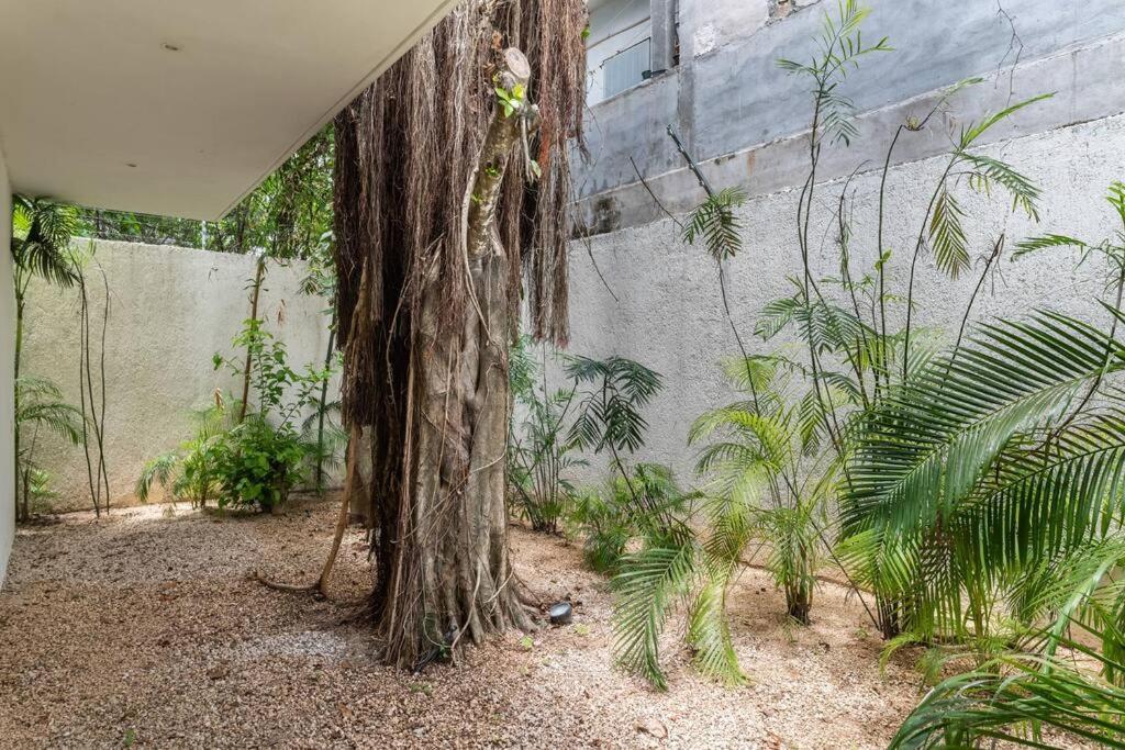 Amates With Jacuzzi & Pool With Great Concierge Service By Hum Living Tulum