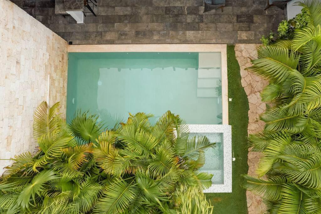 Amates With Jacuzzi & Pool With Great Concierge Service By Hum Living Villa