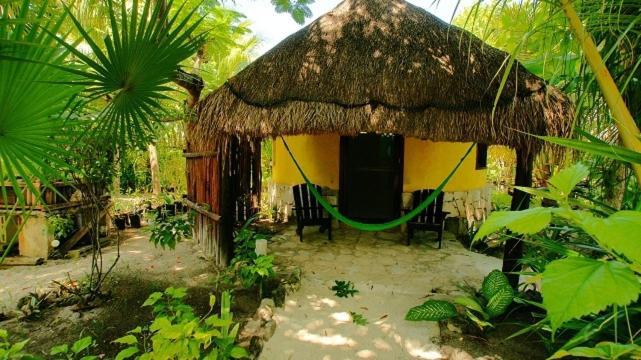 Dos Ceibas - Massage & Yoga Inclusive