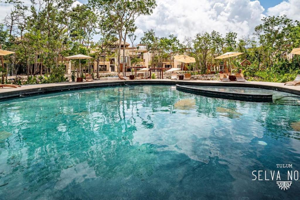 Apartamento Private Rooftop Penthouse With Pool, Bbq & Jungle View