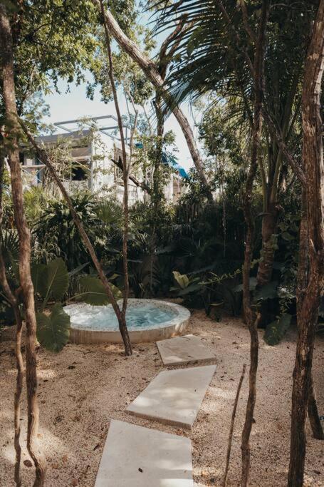 Incredible At Exclusive Gated Community La Privada Aldea Zama, 5 Bedroom Private Pool & Concierge Service Villa