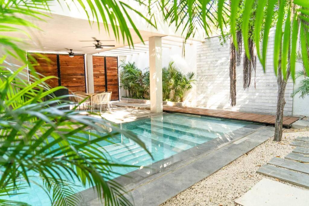 Enjoy Nature At With 100 Year Old Tree, Private Pool & Concierge Service Tulum