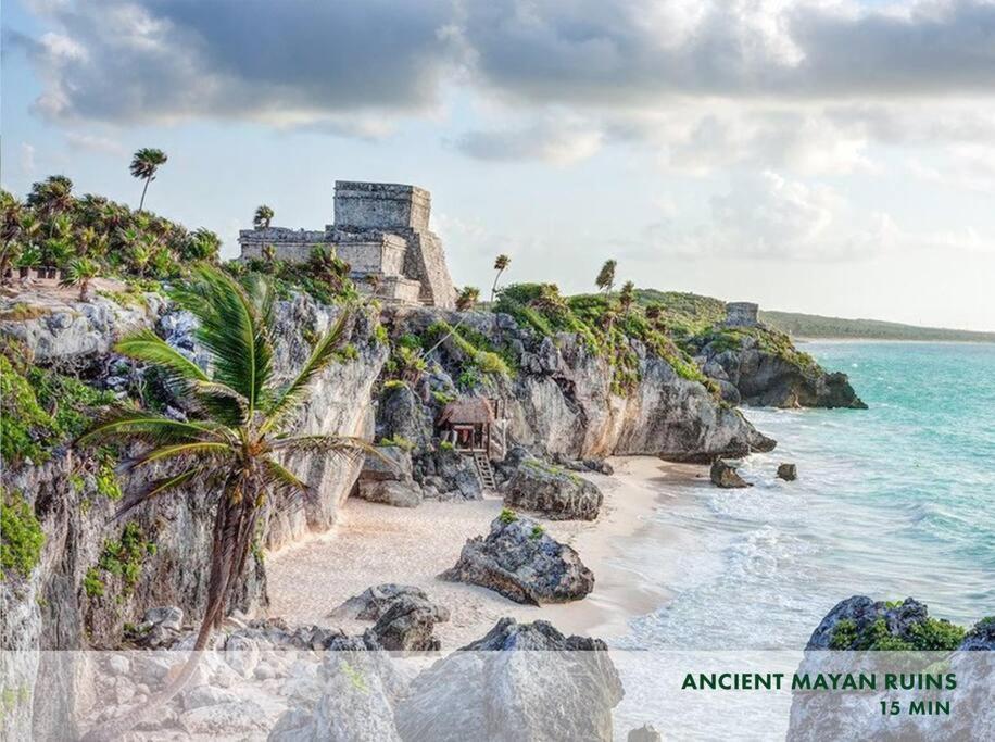 Enjoy Nature At With 100 Year Old Tree, Private Pool & Concierge Service * Tulum