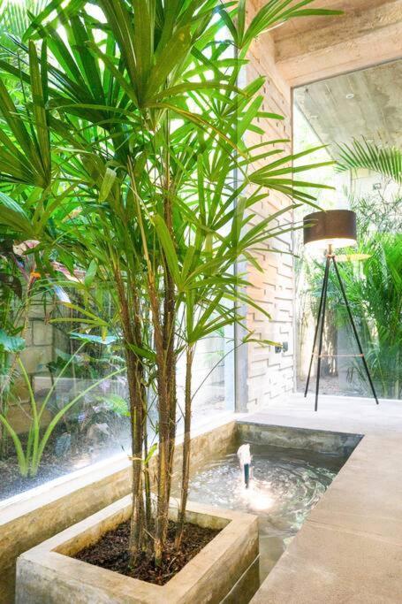 Nimi: Architectural Gem With Private Pool & Concierge * Tulum