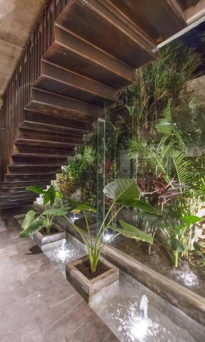 Nimi: Architectural Gem With Private Pool & Concierge Villa