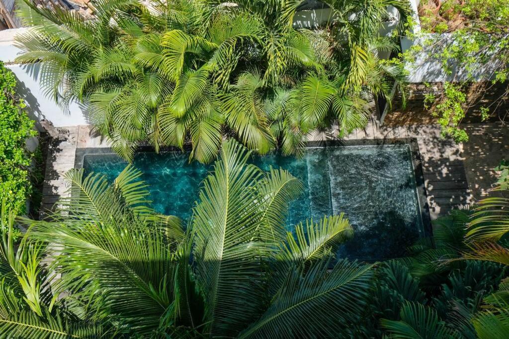 And Relax In The Jungle Of 4001 Apartamento *