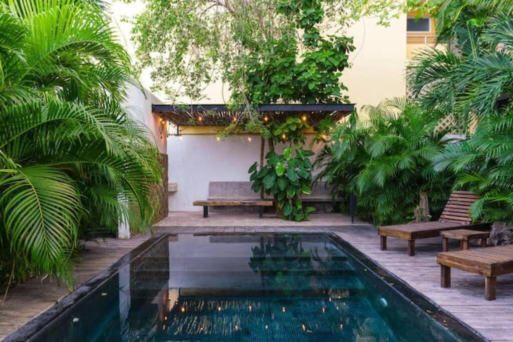 Apartamento And Relax In The Jungle Of 4001