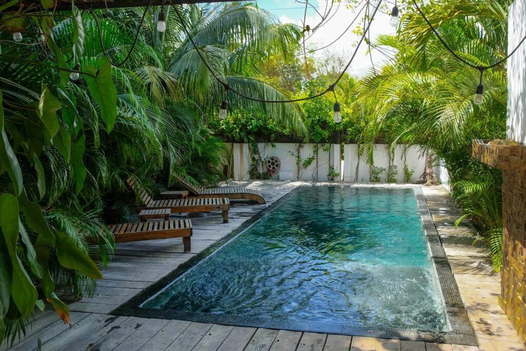 Apartamento And Relax In The Jungle Of 4001 *