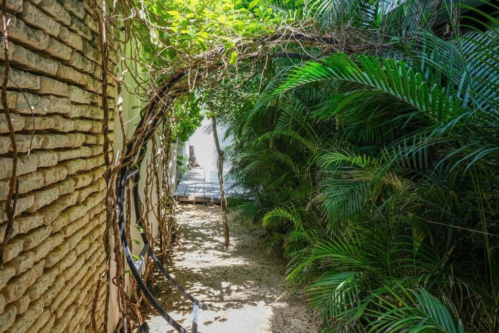 And Relax In The Jungle Of 4001 Tulum