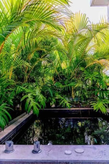 Apartamento And Relax In The Jungle Of 4001