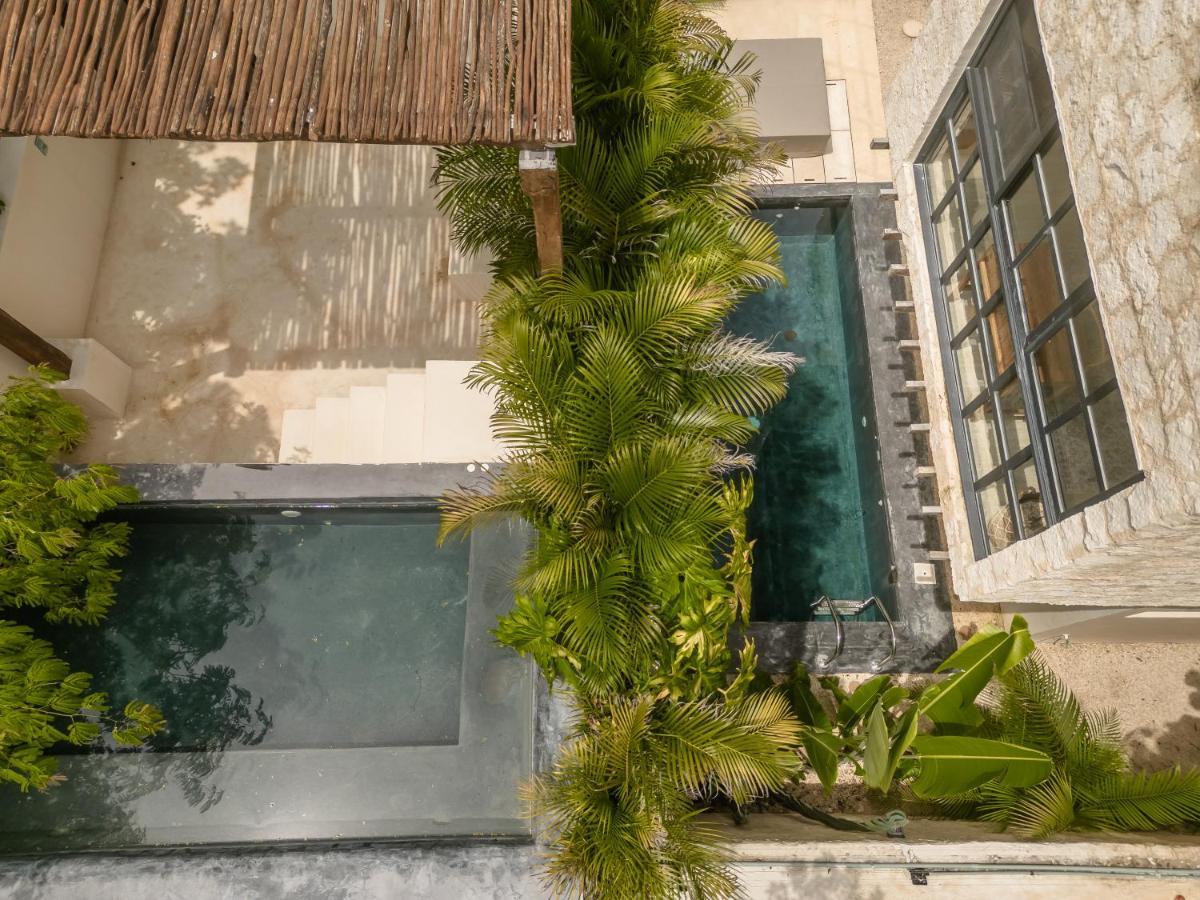 New Aura Jungle Getaway Holiday home