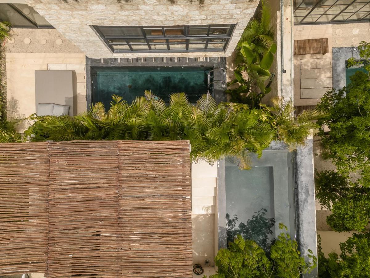 New Aura Jungle Getaway *