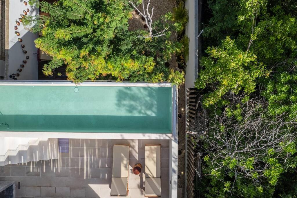 El Paraiso Ikebana Oasis, Pool And Secured Space Tulum